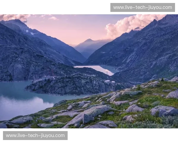 奥地利vs荷兰：阿尔卑斯山脉的宁静邂逅郁金香田野的活力